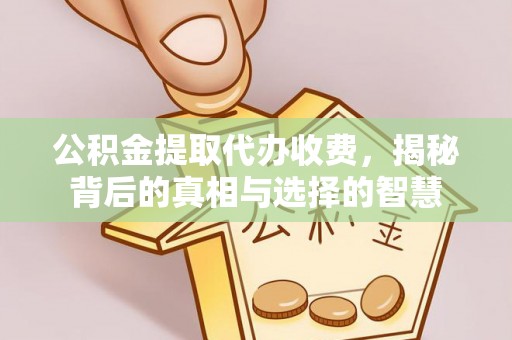 三江公积金提取代办收费，揭秘背后的真相与选择的智慧