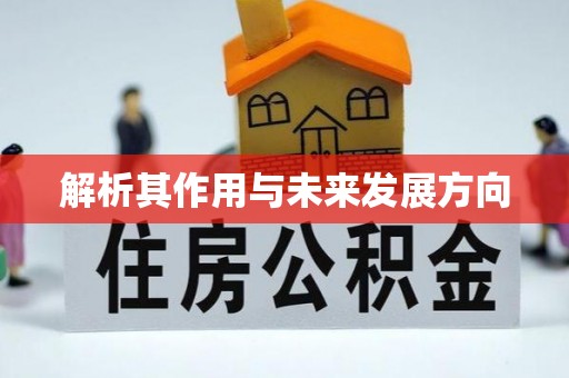 三江解析其作用与未来发展方向