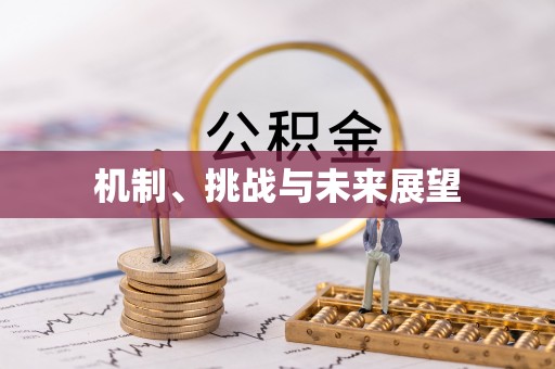 三江机制、挑战与未来展望