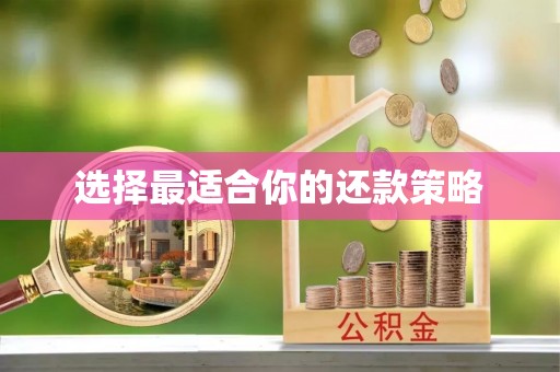 三江选择最适合你的还款策略
