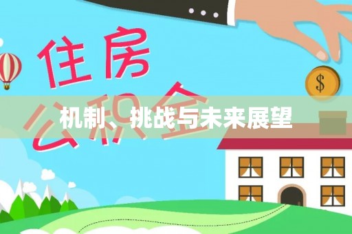 三江机制、挑战与未来展望